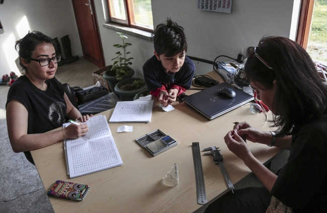 Bülbülün ömrü Türkiye yolunda geçti